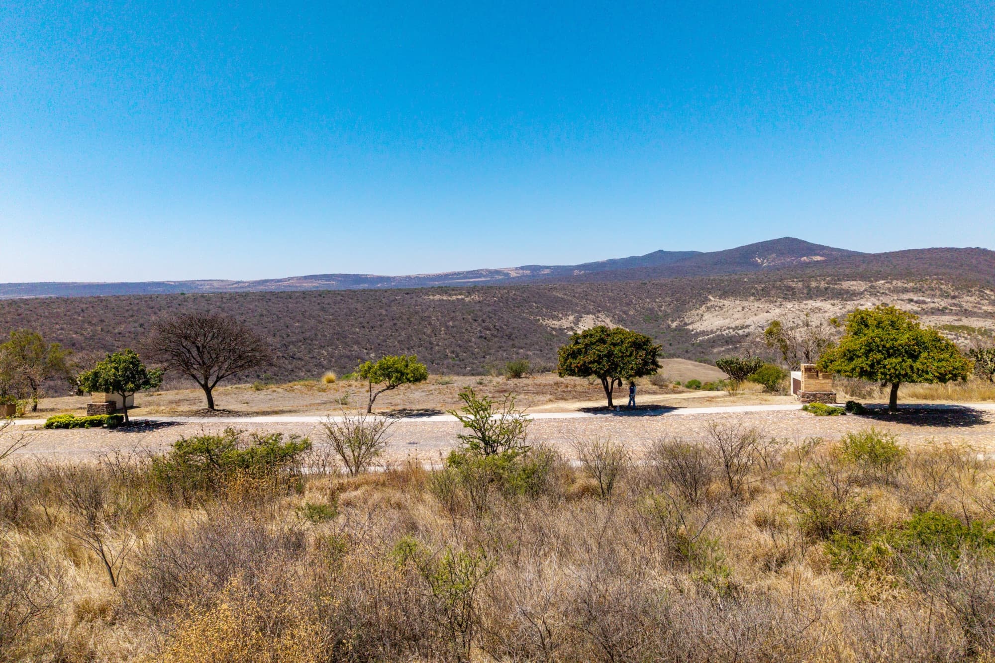 Lote Viñedo San Miguel — photo 7 of 10