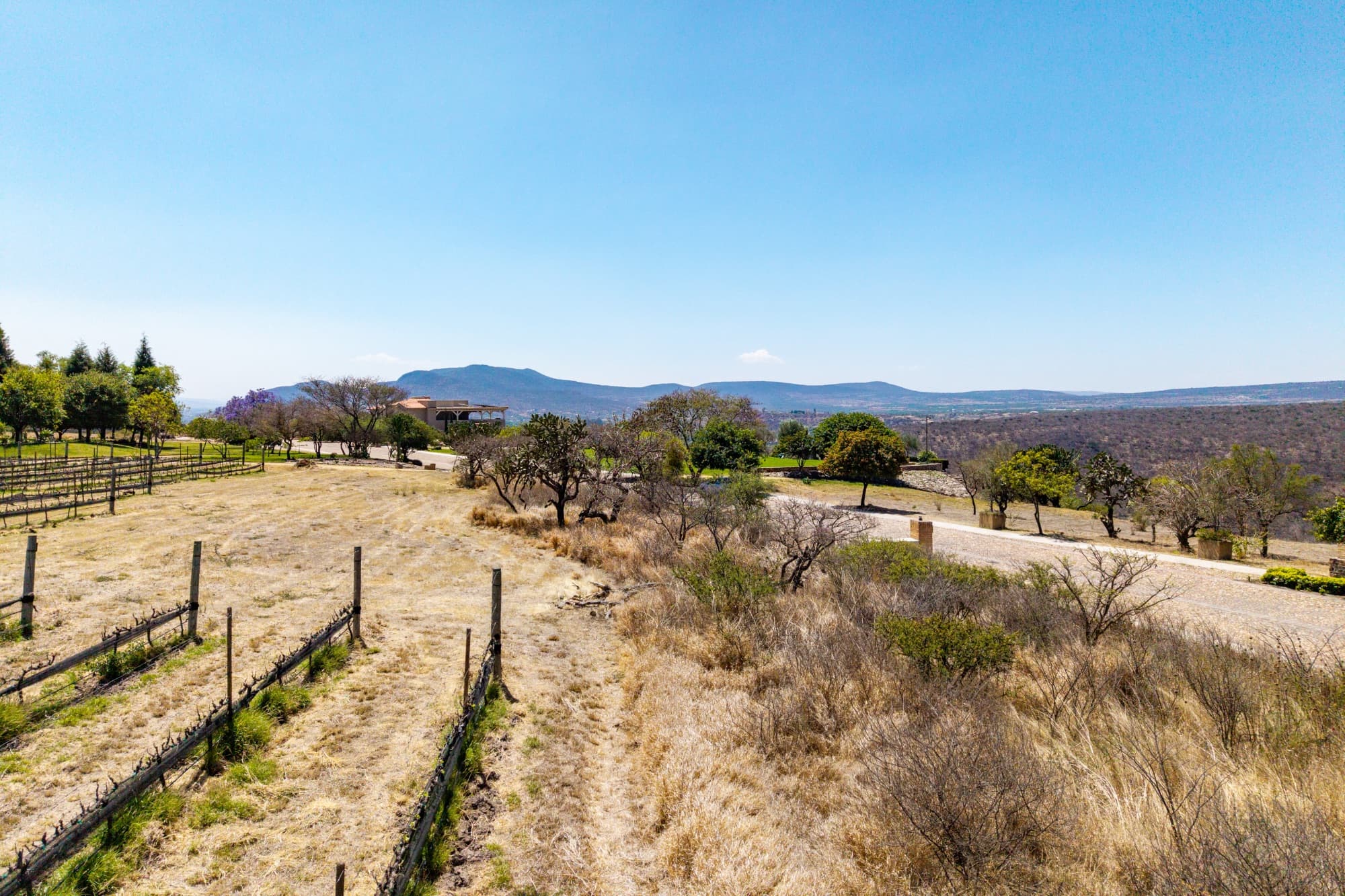 Lote Viñedo San Miguel — photo 8 of 10