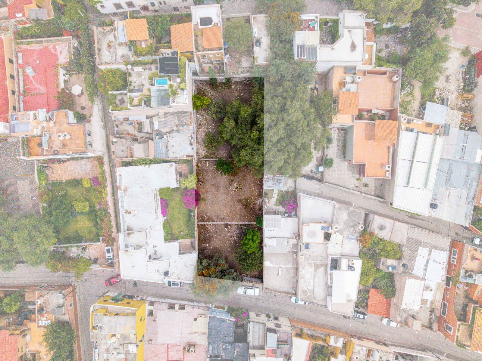 Lote Moras — photo 3 of 4