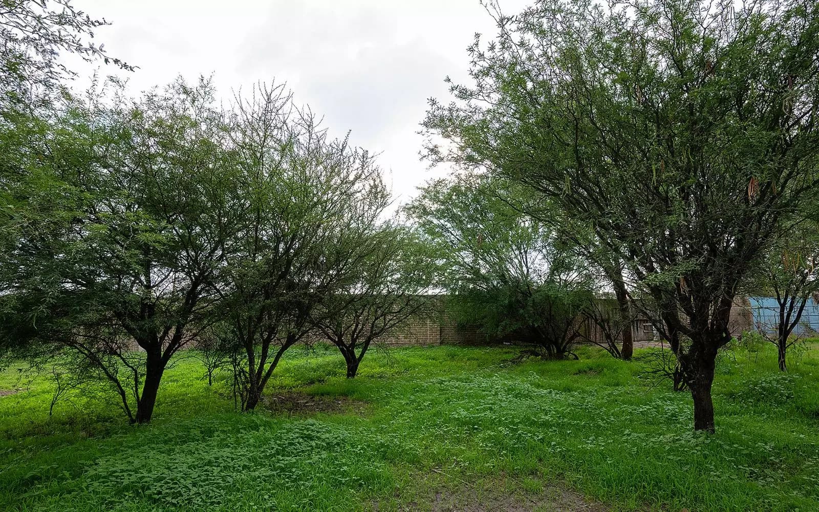 LOTE 1 MEXIQUITO — photo 2 of 10