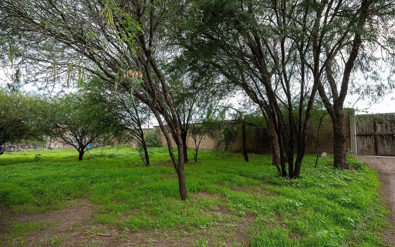 LOTE 1 MEXIQUITO — photo 4 of 10
