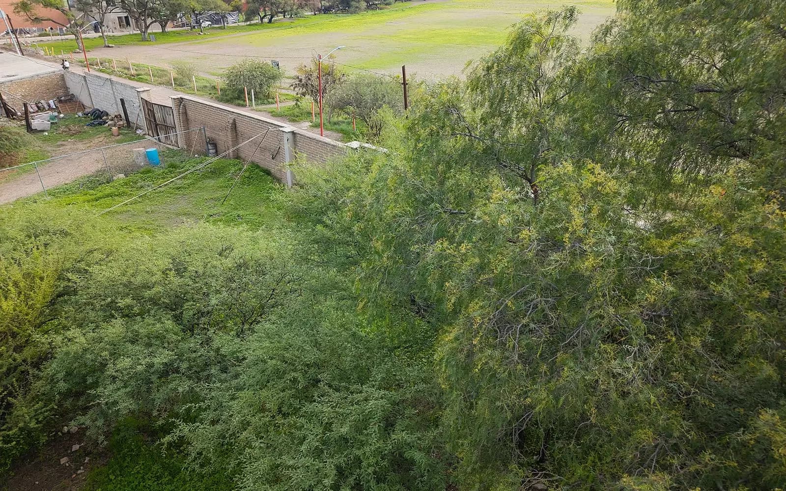 LOTE 1 MEXIQUITO — photo 10 of 10