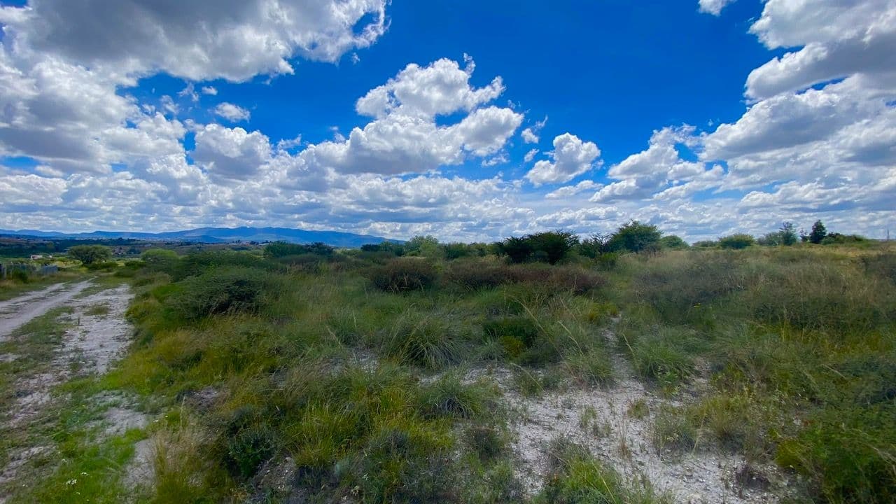 Lote Xote — photo 8 of 10