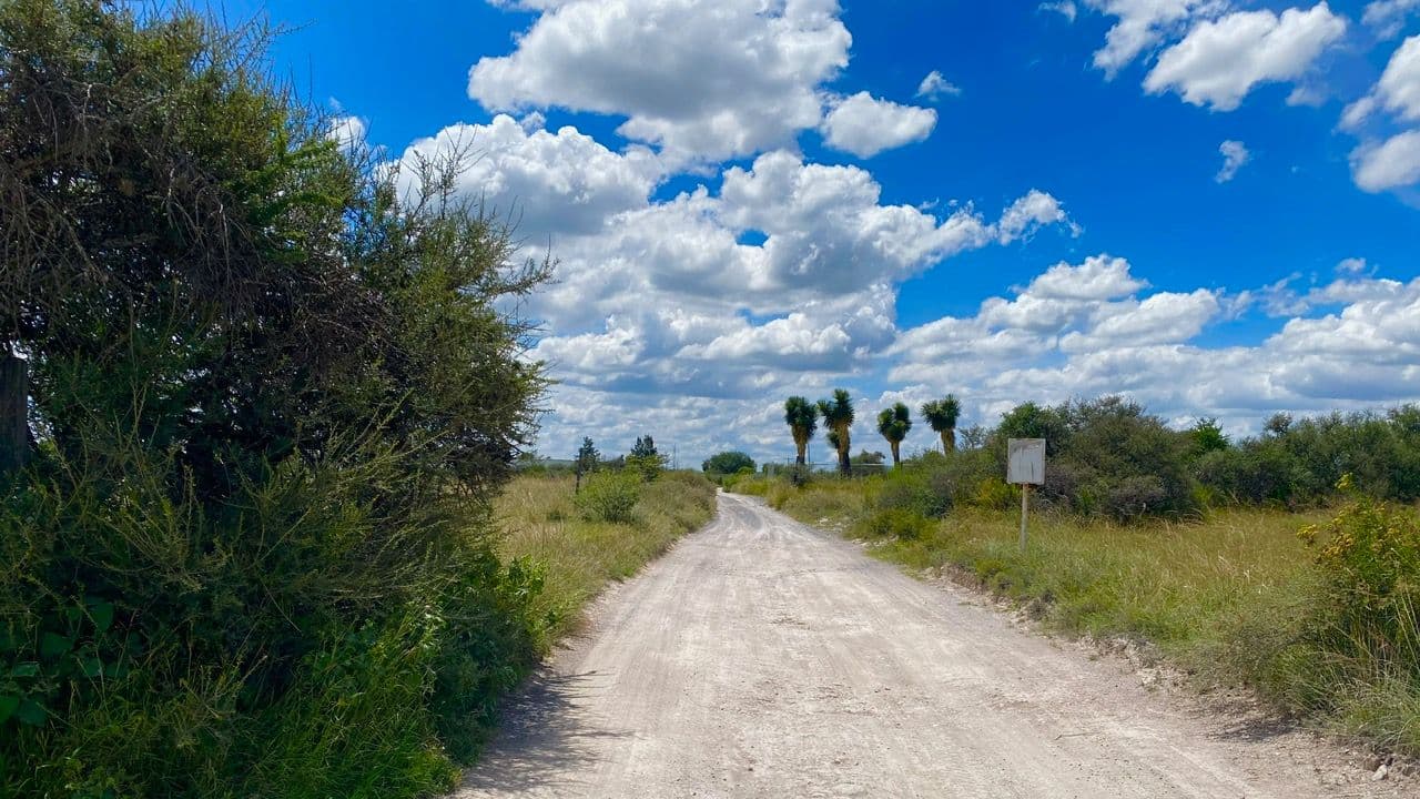 Lote Xote — photo 4 of 10