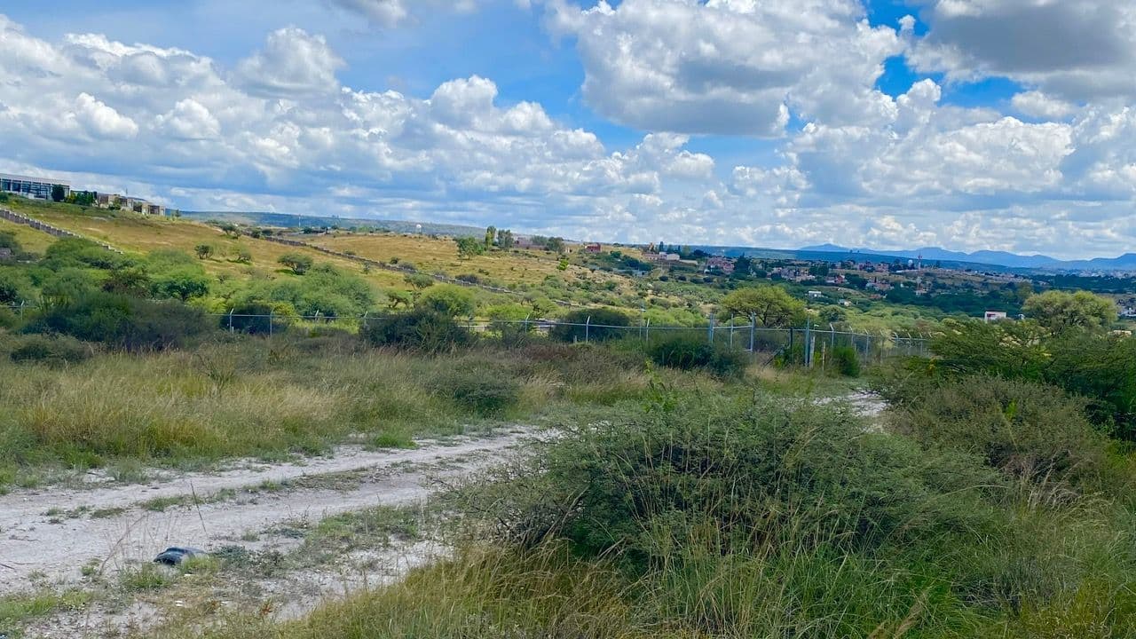 Lote Xote — photo 9 of 10