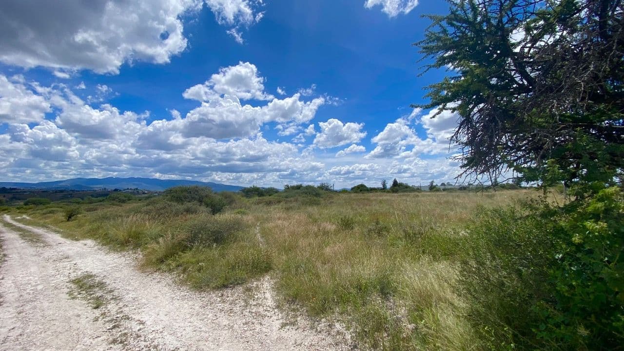 Lote Xote — photo 7 of 10