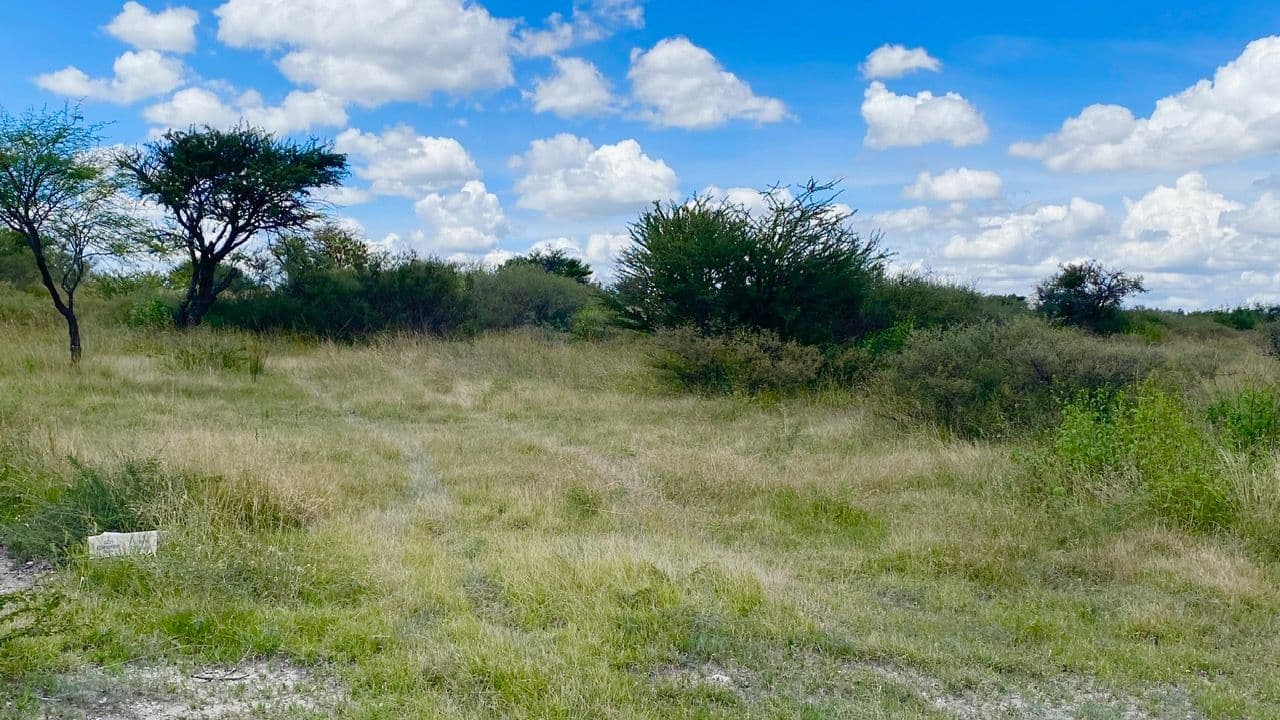 Lote Xote — photo 10 of 10