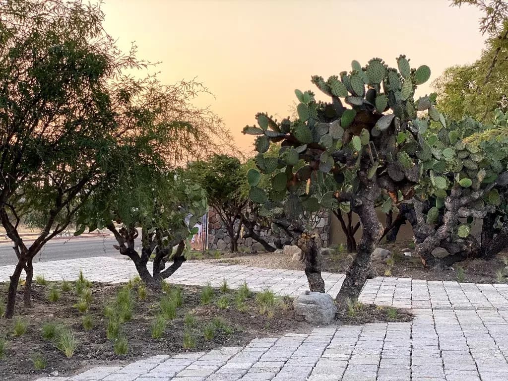 Lote 23 La Providencia — photo 5 of 10