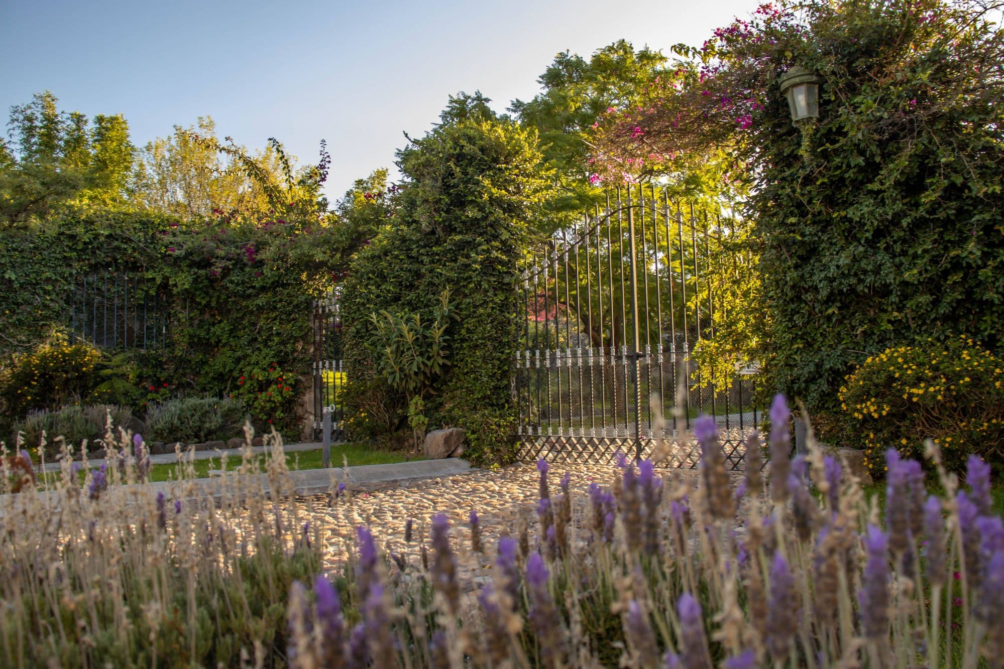 AltaVista Lot 15 – 1,168 m² | Luxury Lot in Eco-Conscious Community