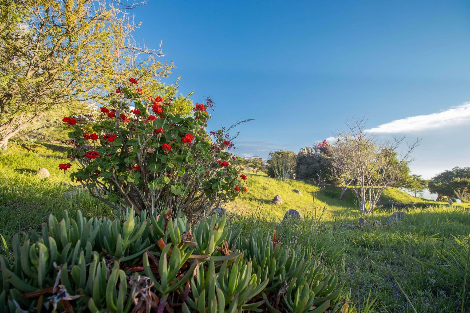 AltaVista Lot 15 – 1,168 m² | Luxury Lot in Eco-Conscious Community — photo 7 of 10