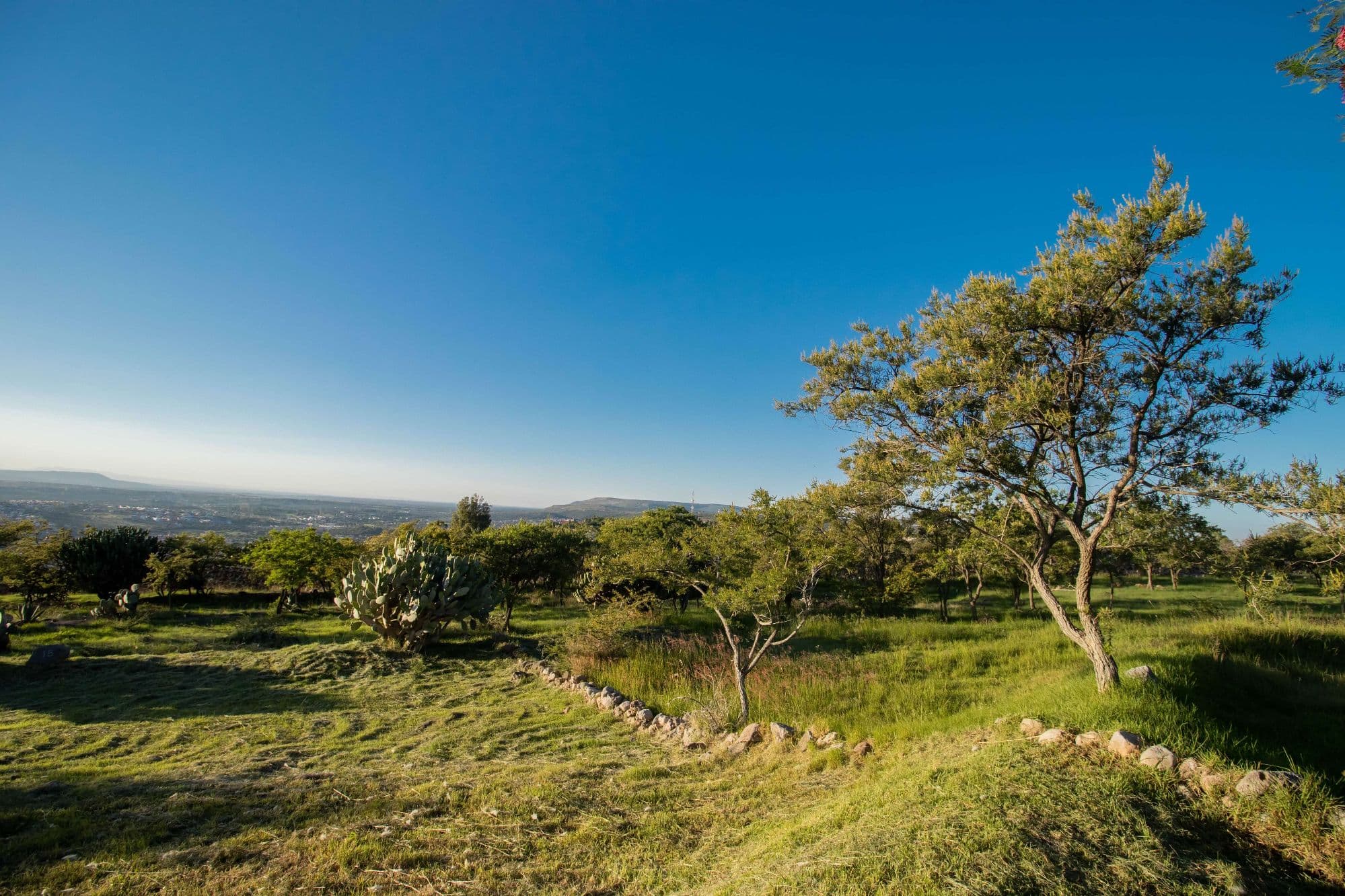 AltaVista Lot 15 – 1,168 m² | Luxury Lot in Eco-Conscious Community — photo 6 of 10