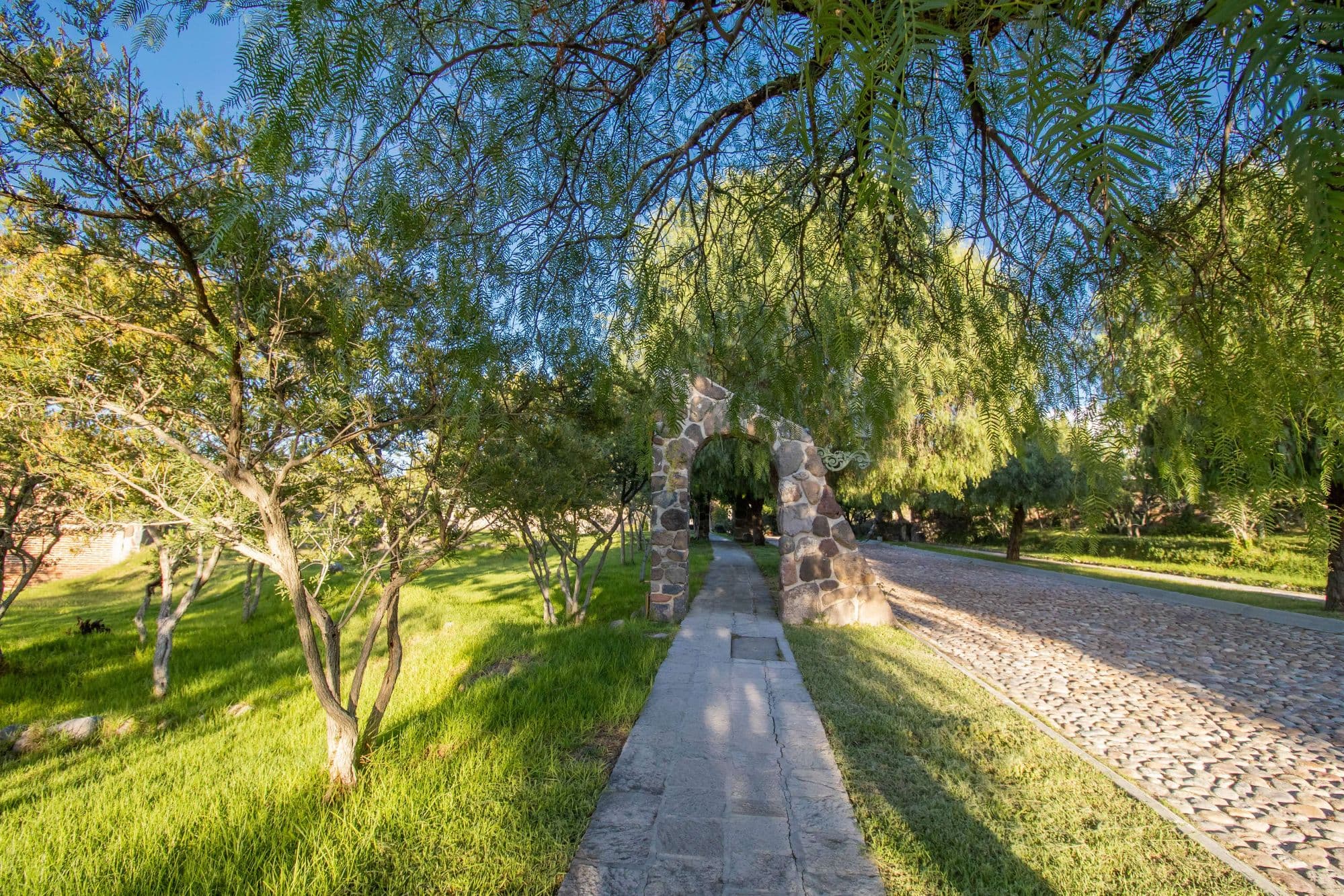 AltaVista Lot 15 – 1,168 m² | Luxury Lot in Eco-Conscious Community — photo 4 of 10