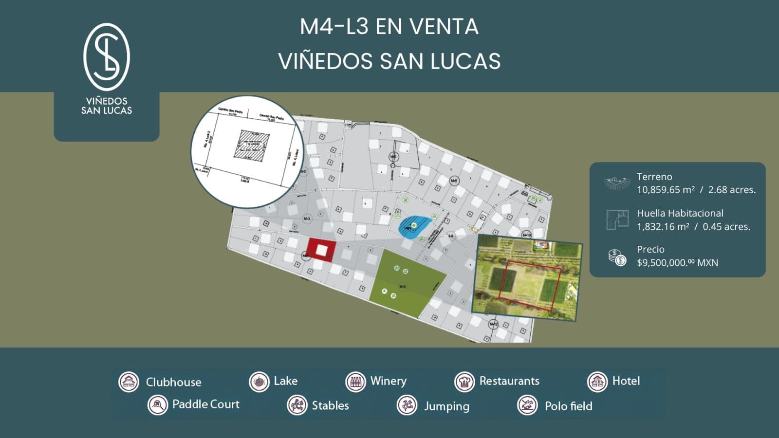 M4-L3 VIÑEDOS SAN LUCAS — photo 1 of 6