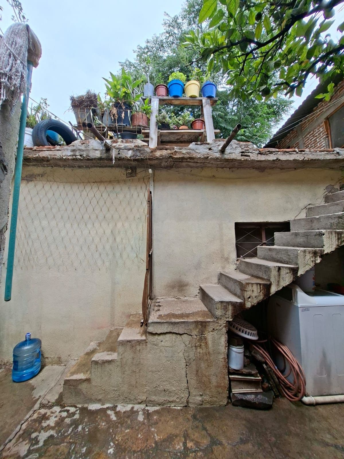 Terreno Árboles — photo 5 of 10