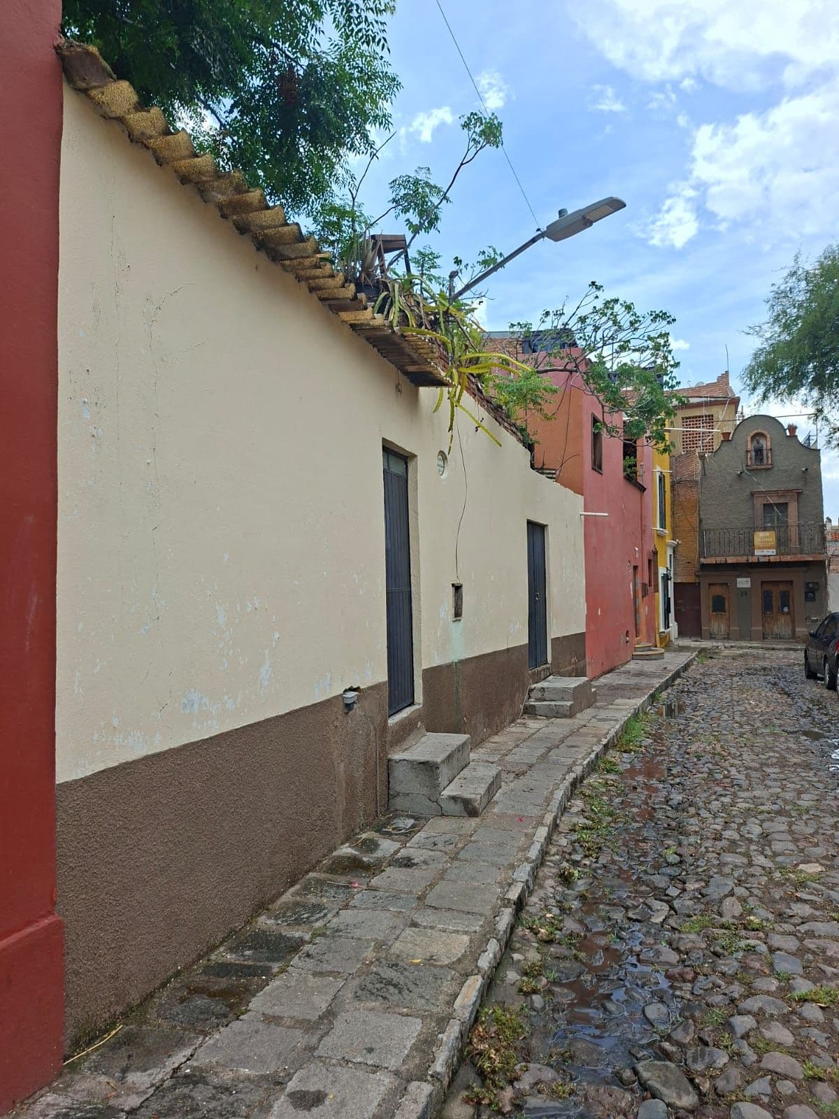 Terreno Árboles — photo 3 of 10