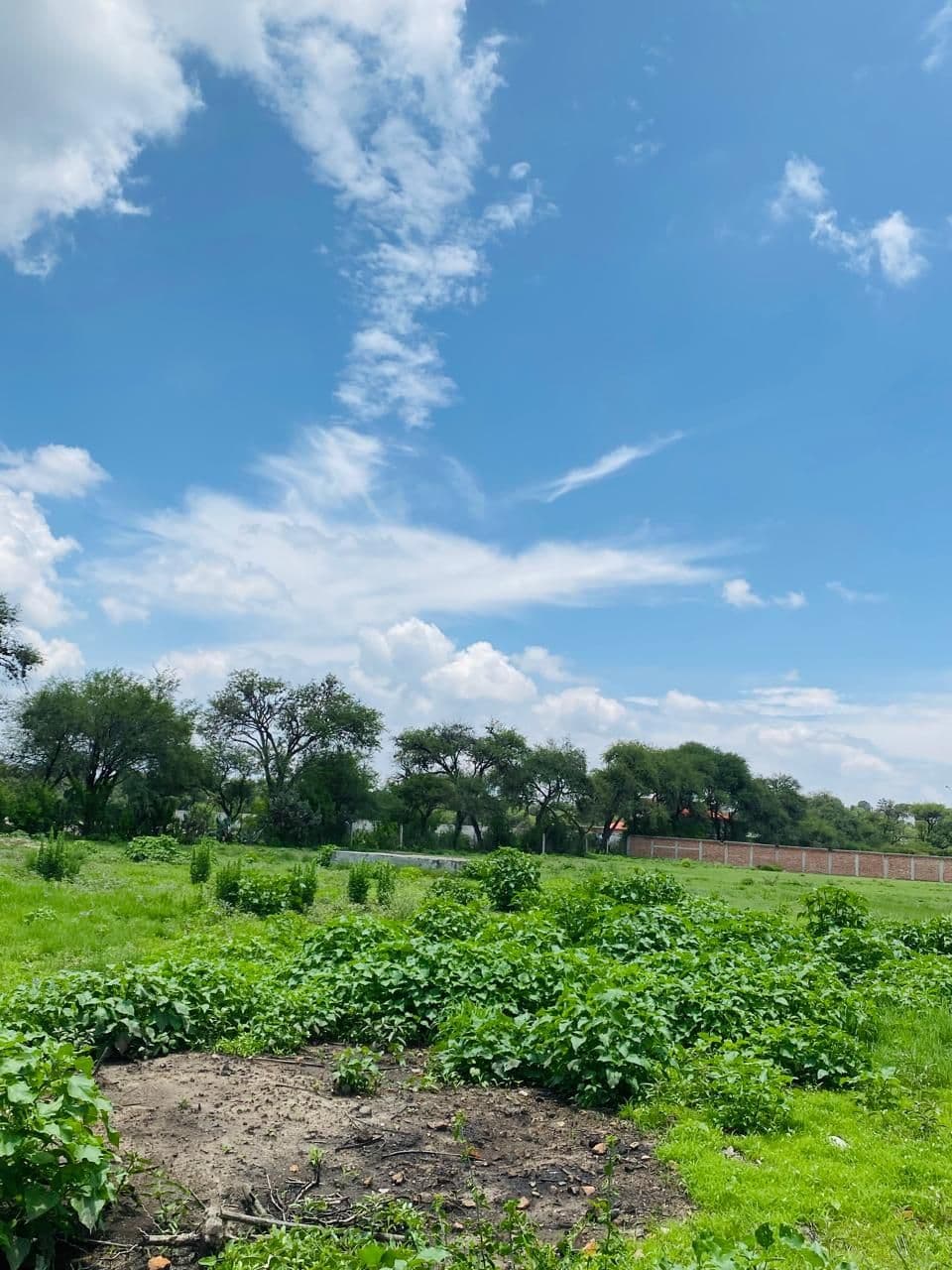 Terreno campestre en Montecillo de la milpa — photo 5 of 7