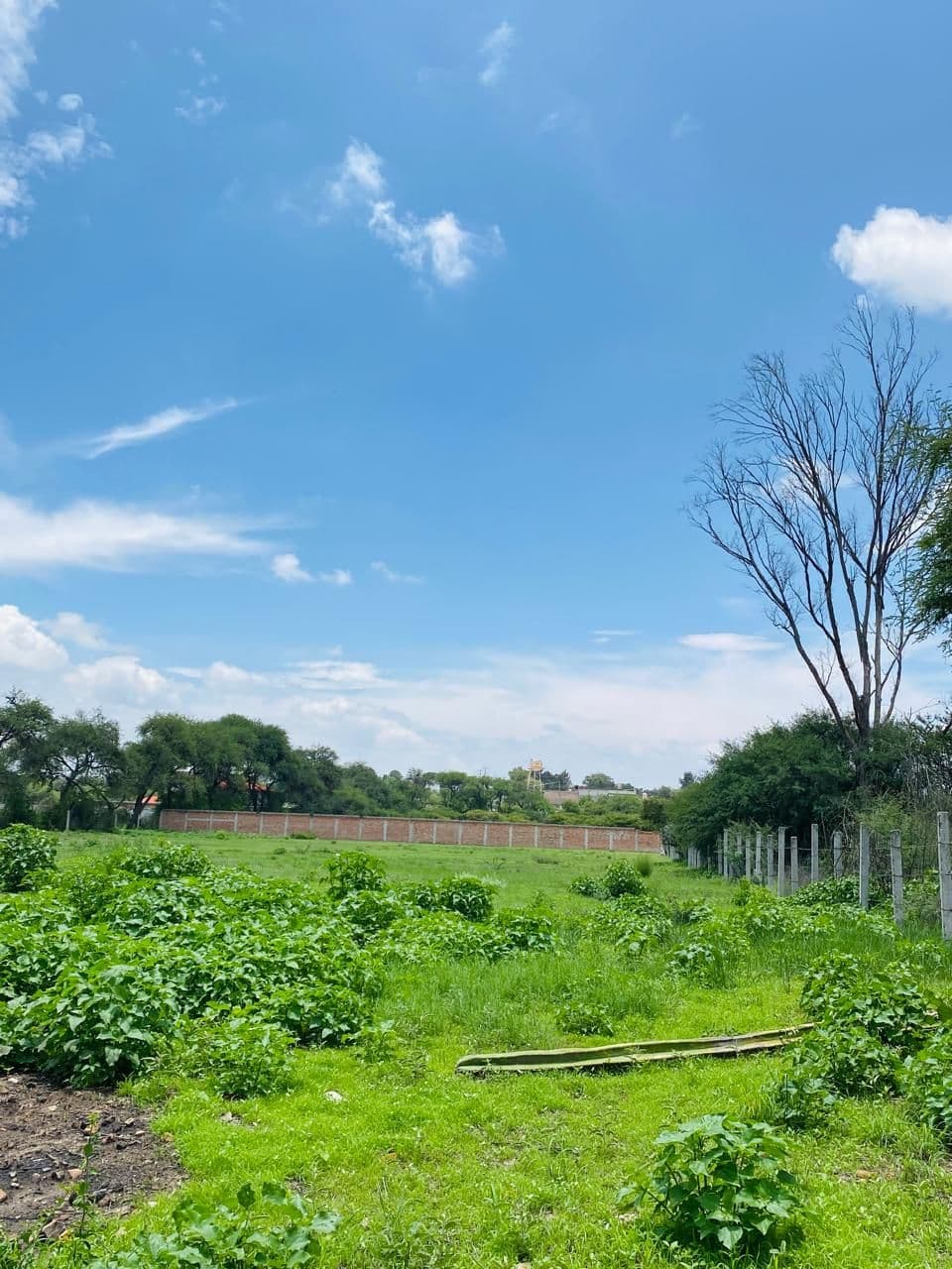 Terreno campestre en Montecillo de la milpa — photo 3 of 7