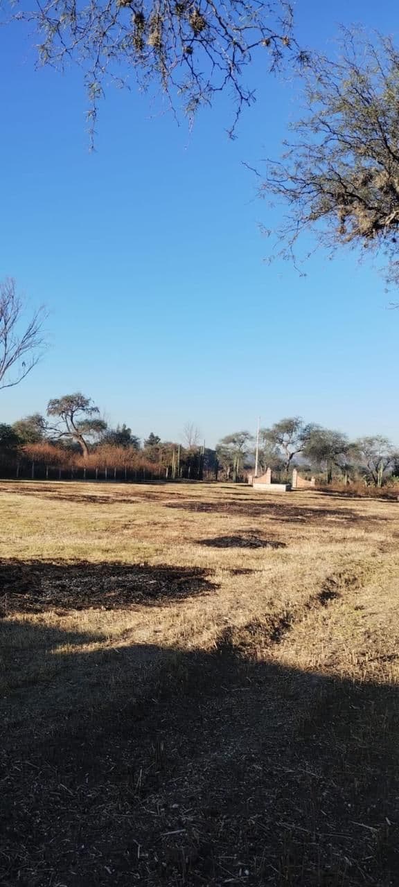Terreno campestre en Montecillo de la milpa — photo 2 of 3