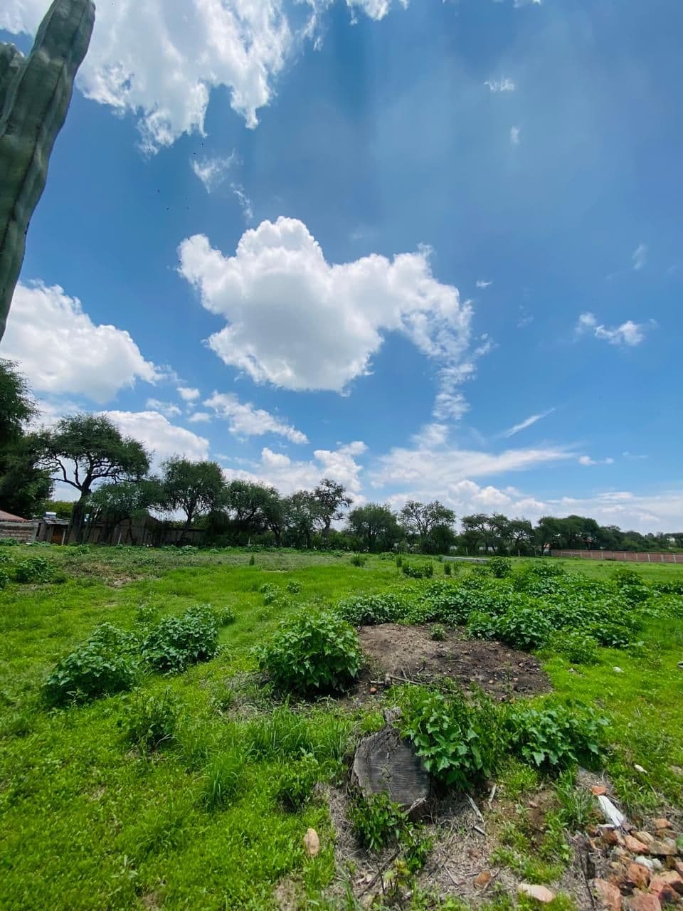 Terreno campestre en Montecillo de la milpa — photo 4 of 7