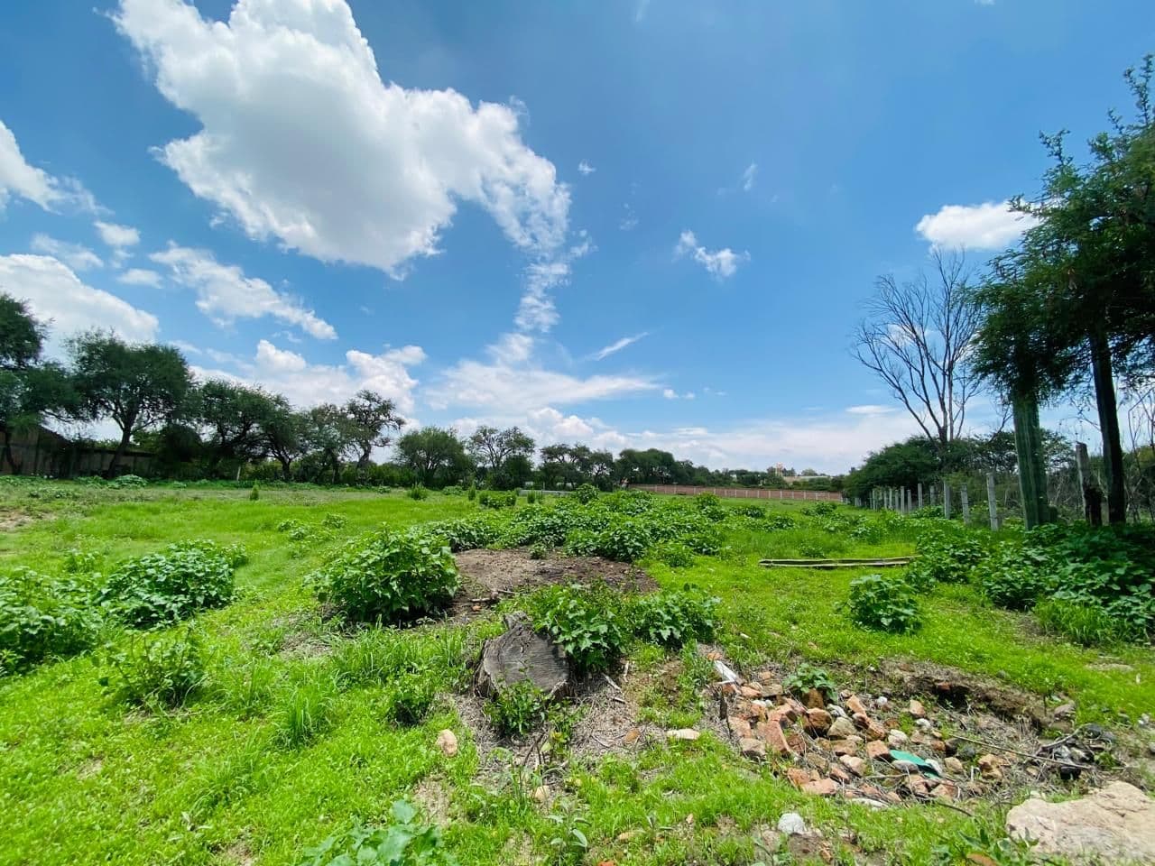 Terreno campestre en Montecillo de la milpa — photo 7 of 7