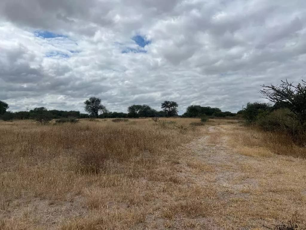 Lote Terra — photo 5 of 6