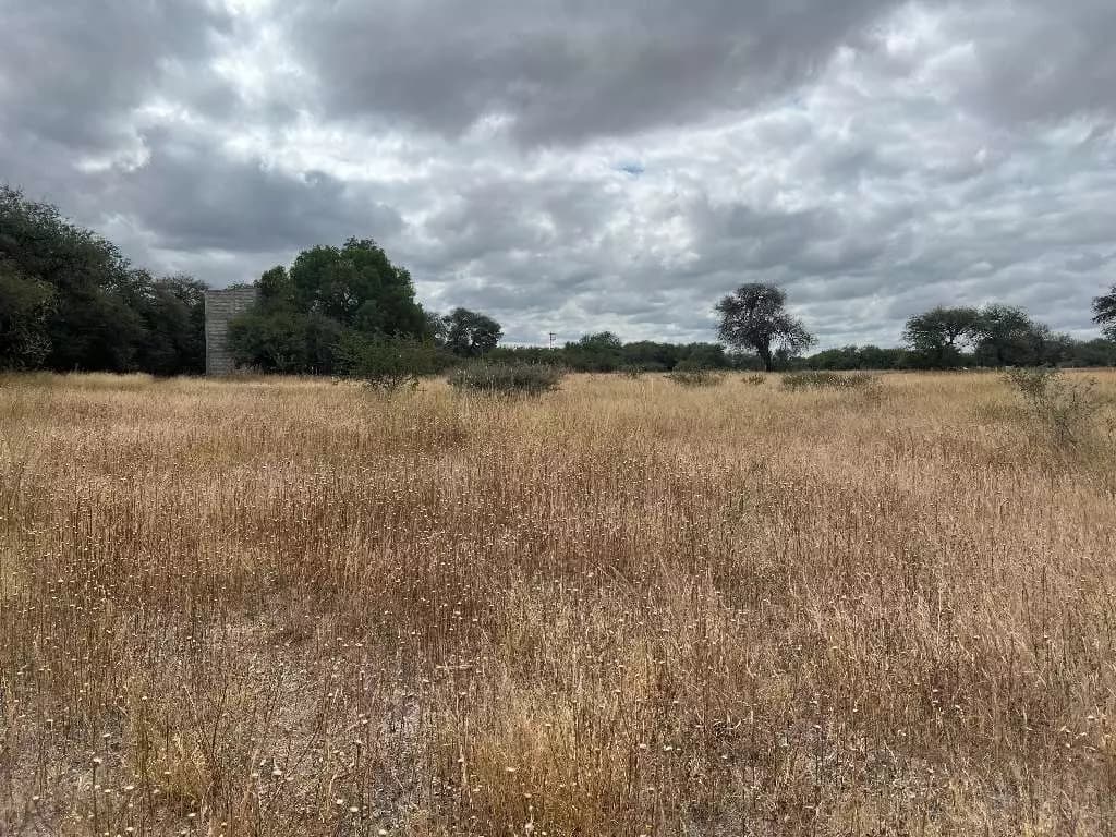 Lote Terra — photo 6 of 6