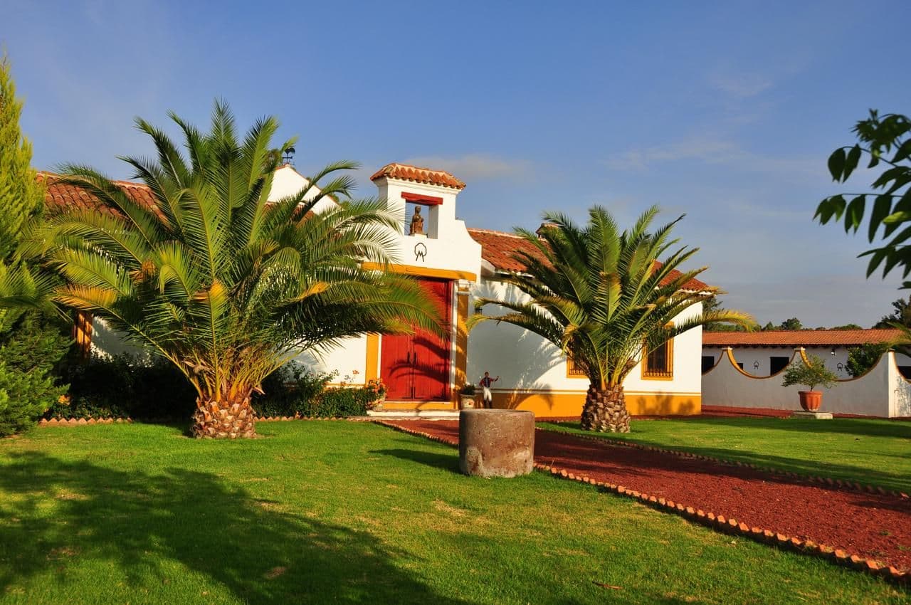 Adriana Calderón — featured listing