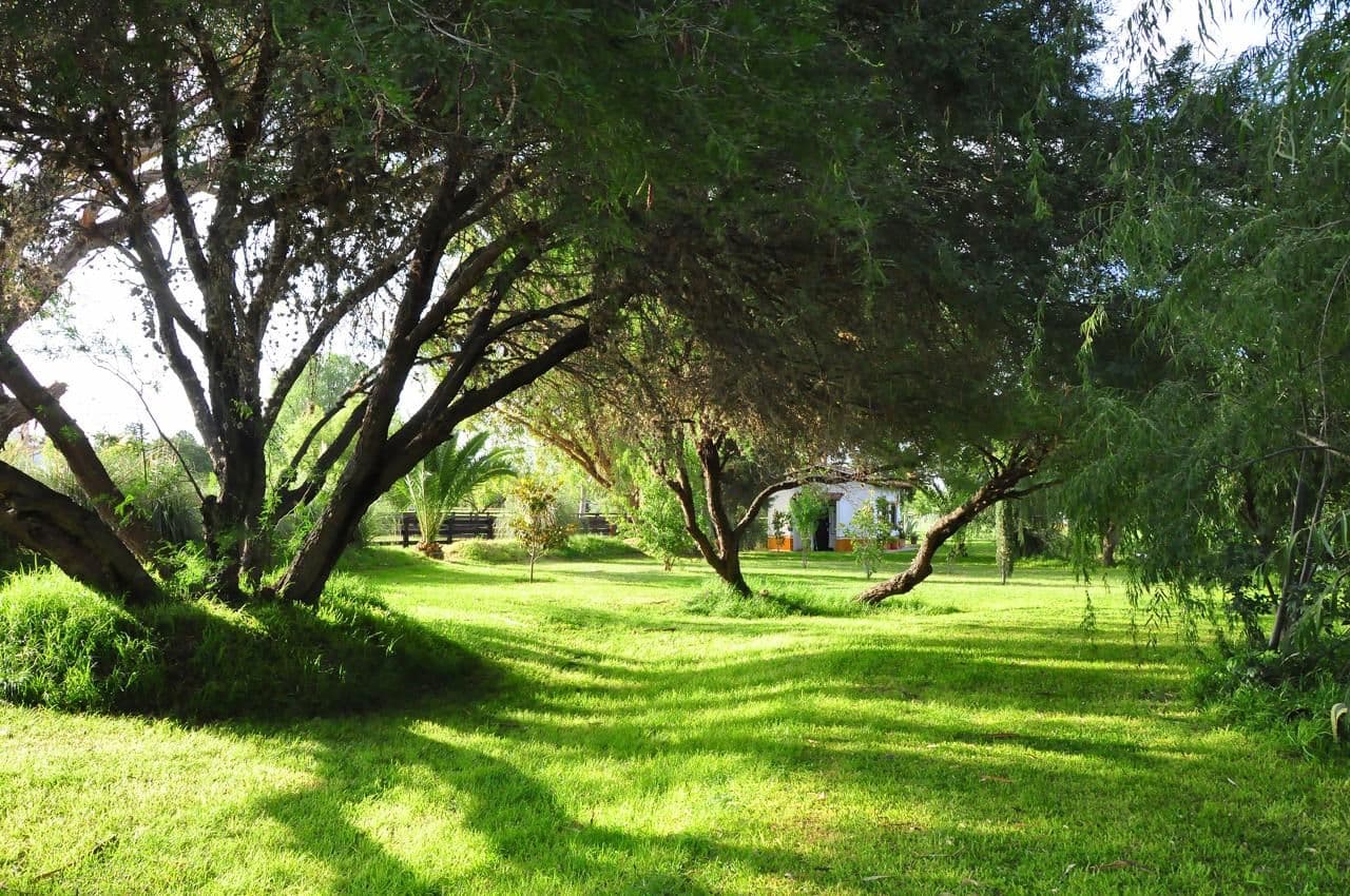 RANCHO MORERA — photo 7 of 10