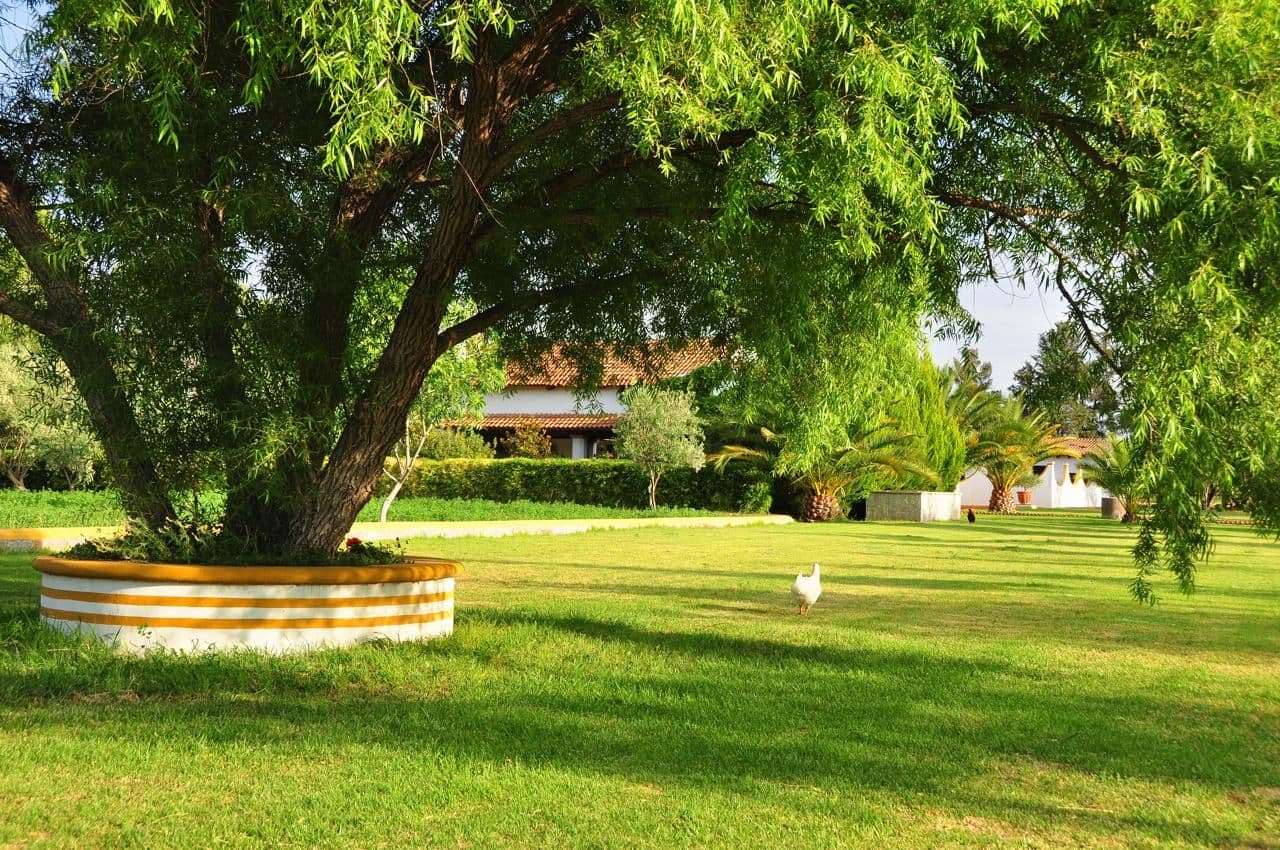 RANCHO MORERA — photo 2 of 10
