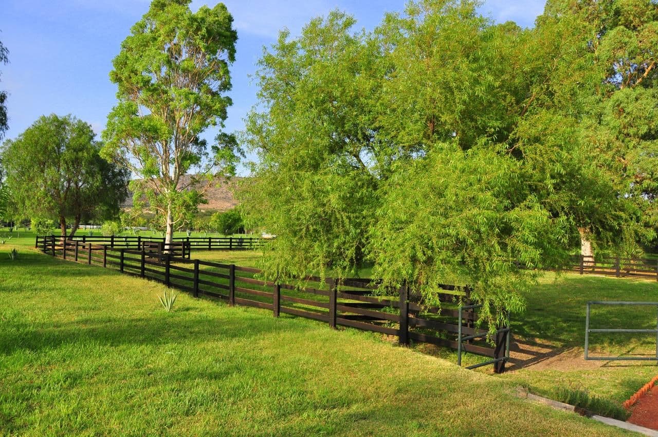RANCHO MORERA — photo 4 of 10