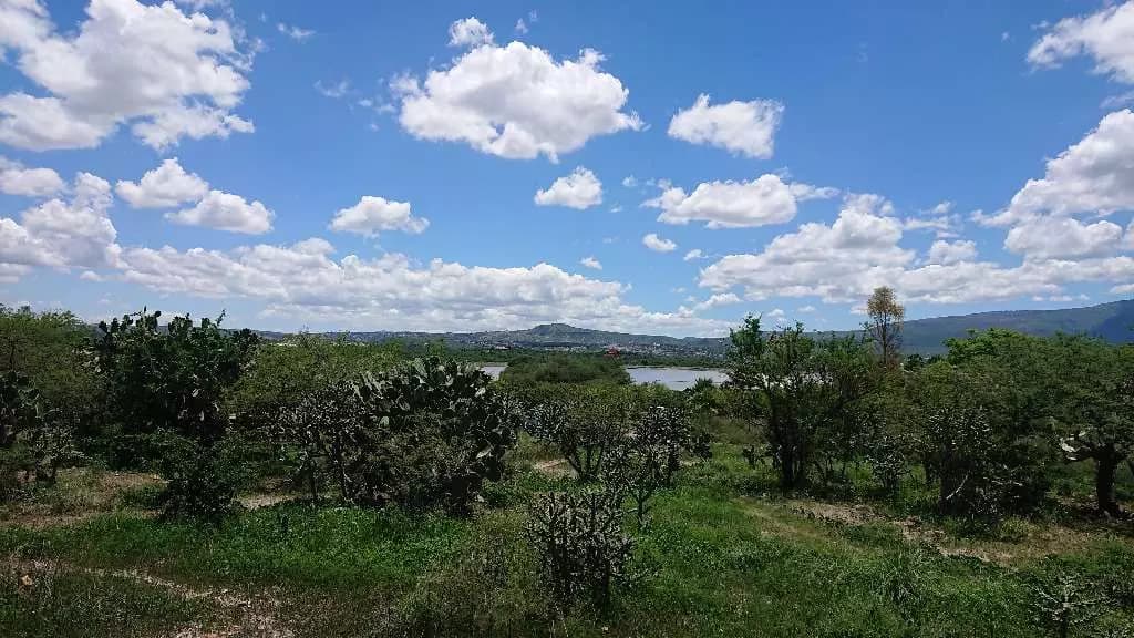 Lote Ponce — photo 1 of 6