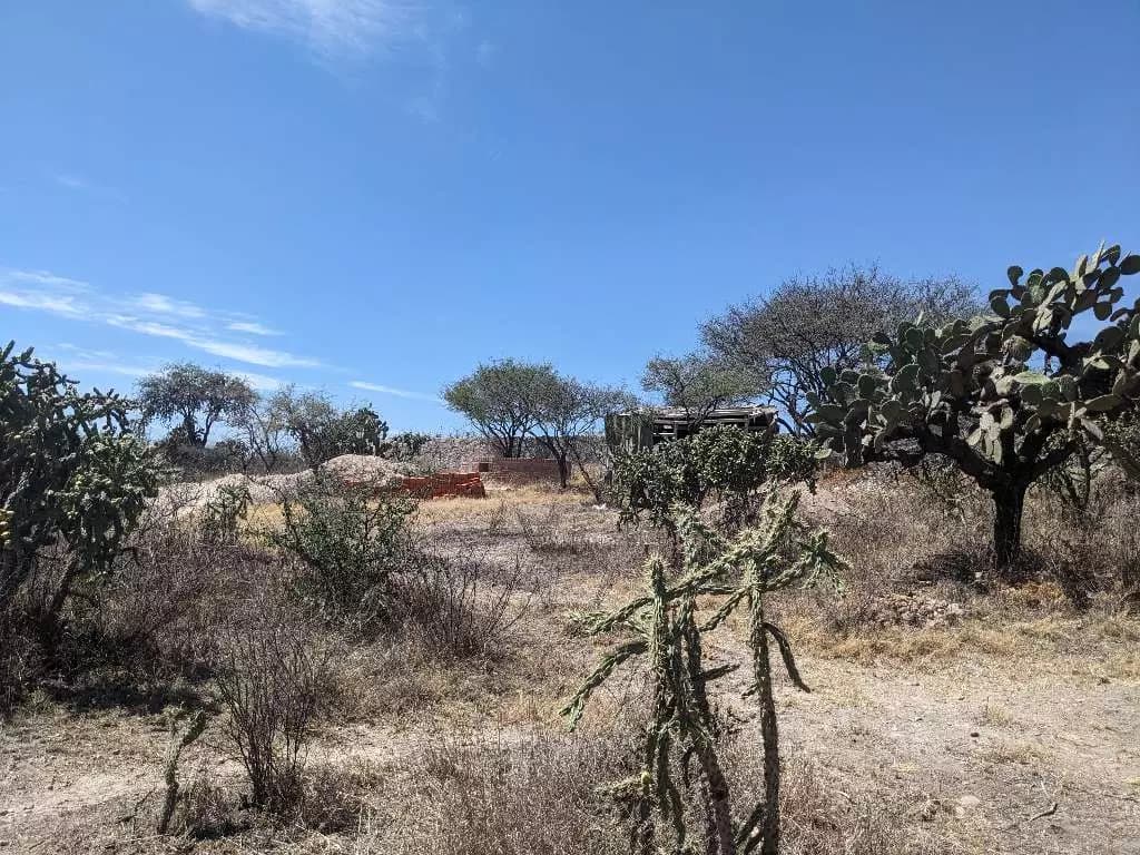 Lote Ponce — photo 3 of 6