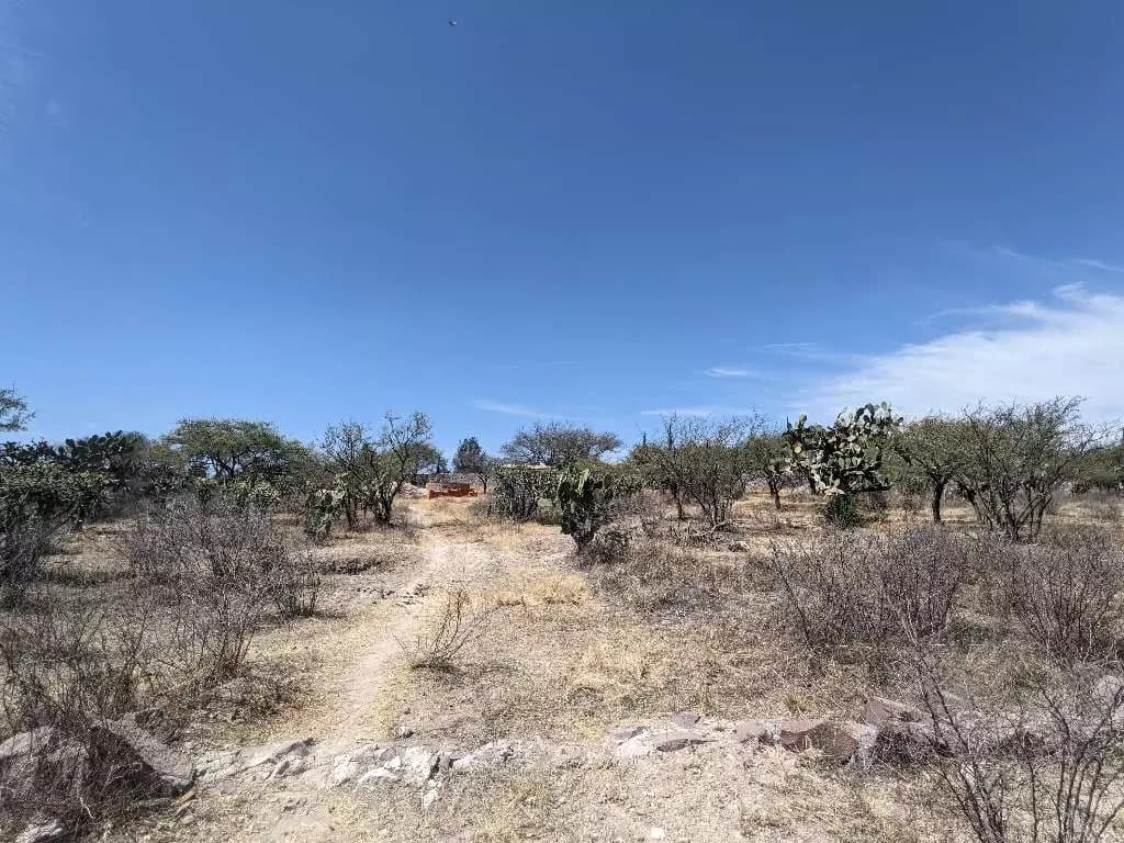 Lote Ponce — photo 4 of 6