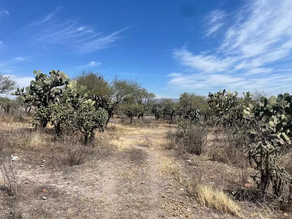 Lote Ponce — photo 6 of 6