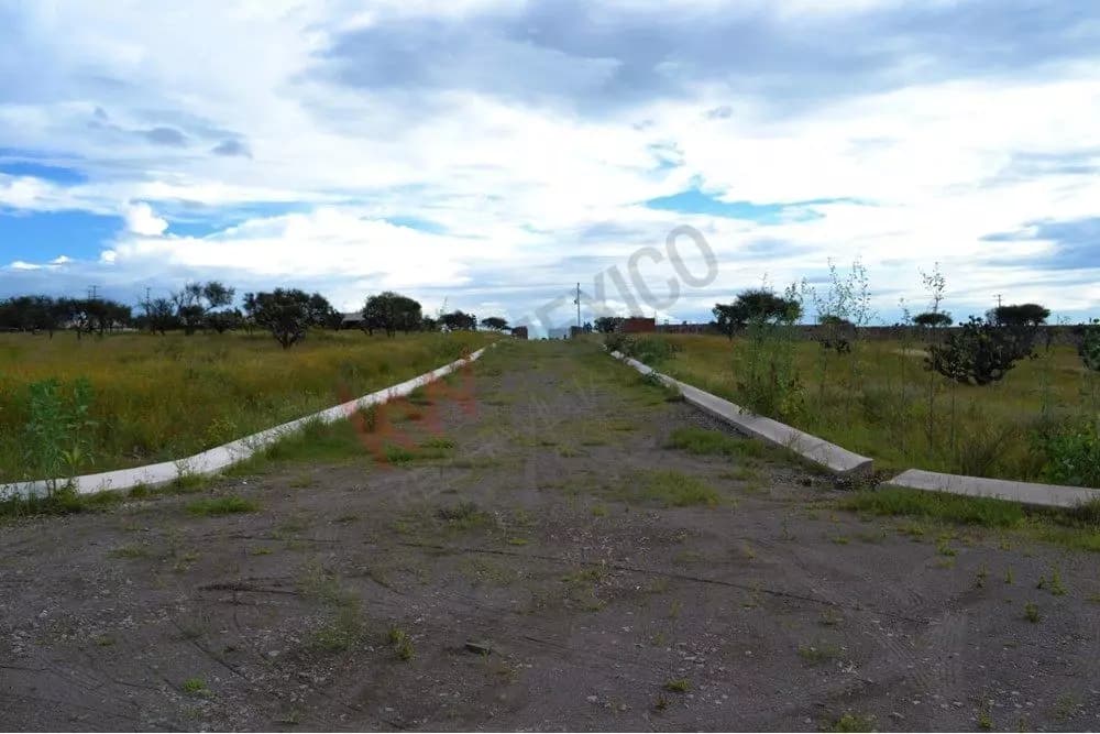 Lote Nativa — photo 2 of 7