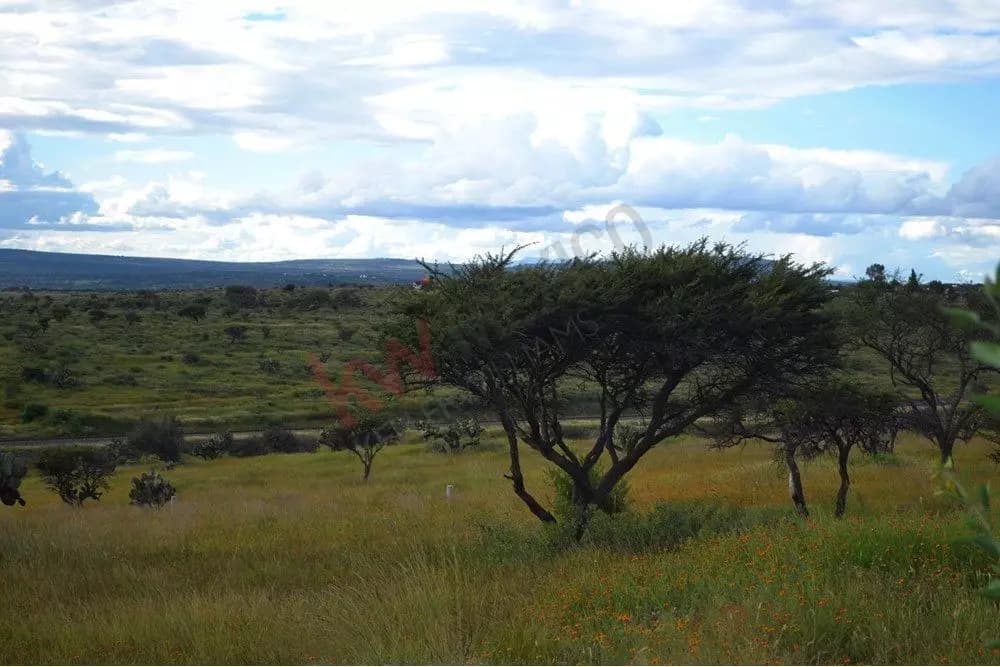 Lote Nativa — photo 7 of 7