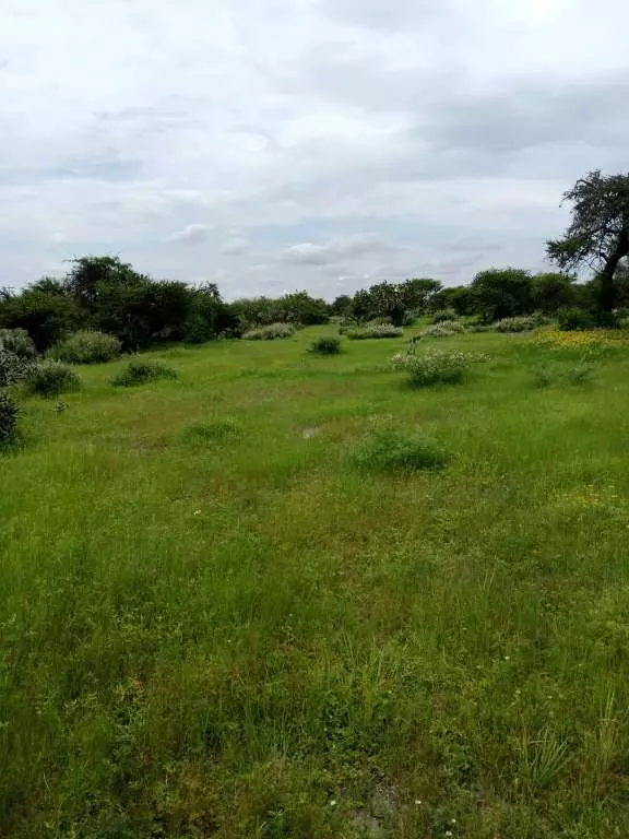 Terreno Campestre Lavista — photo 5 of 5