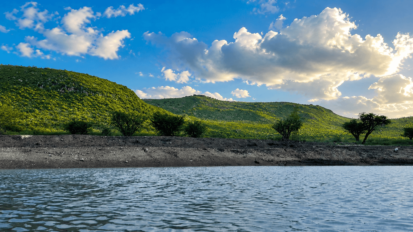 Legacy Land in Cabras — photo 1 of 10