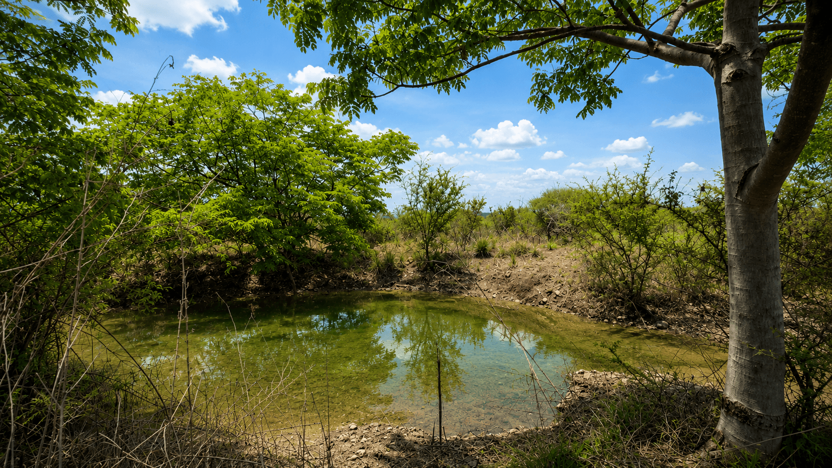 Legacy Land in Cabras — photo 9 of 10