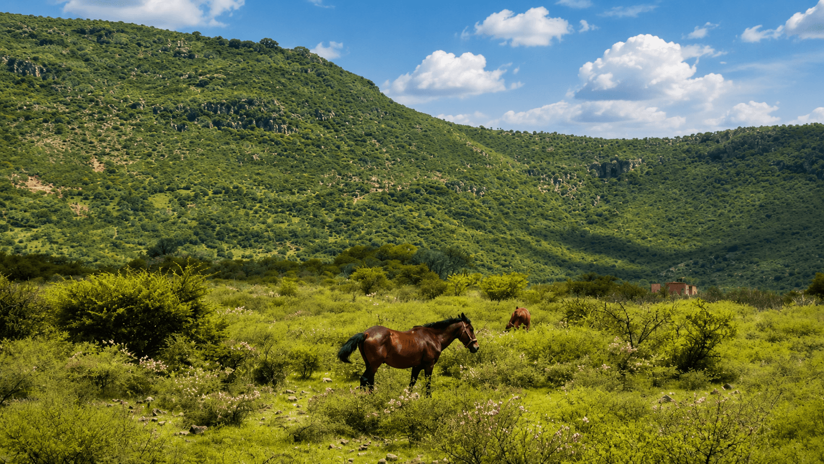 Legacy Land in Cabras — photo 3 of 10