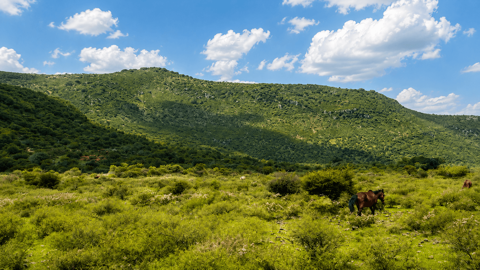 Legacy Land in Cabras — photo 4 of 10