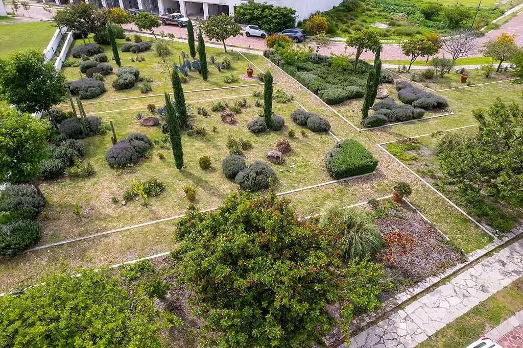 Primavera Lots — photo 6 of 10