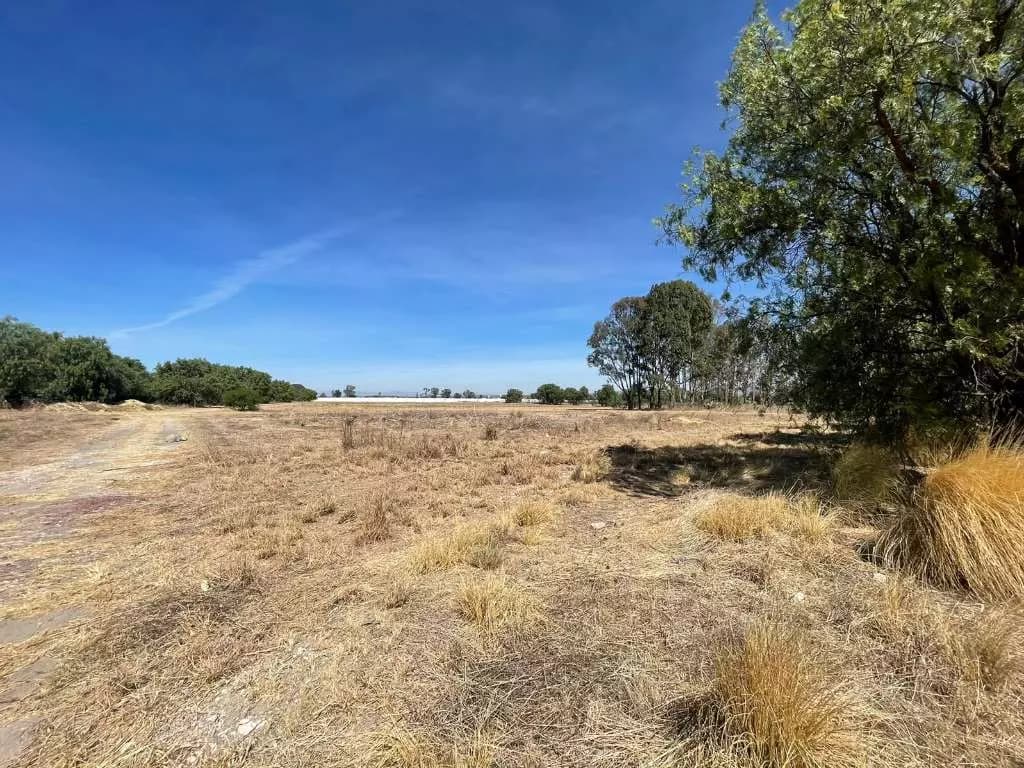 Las Fincas — photo 9 of 9
