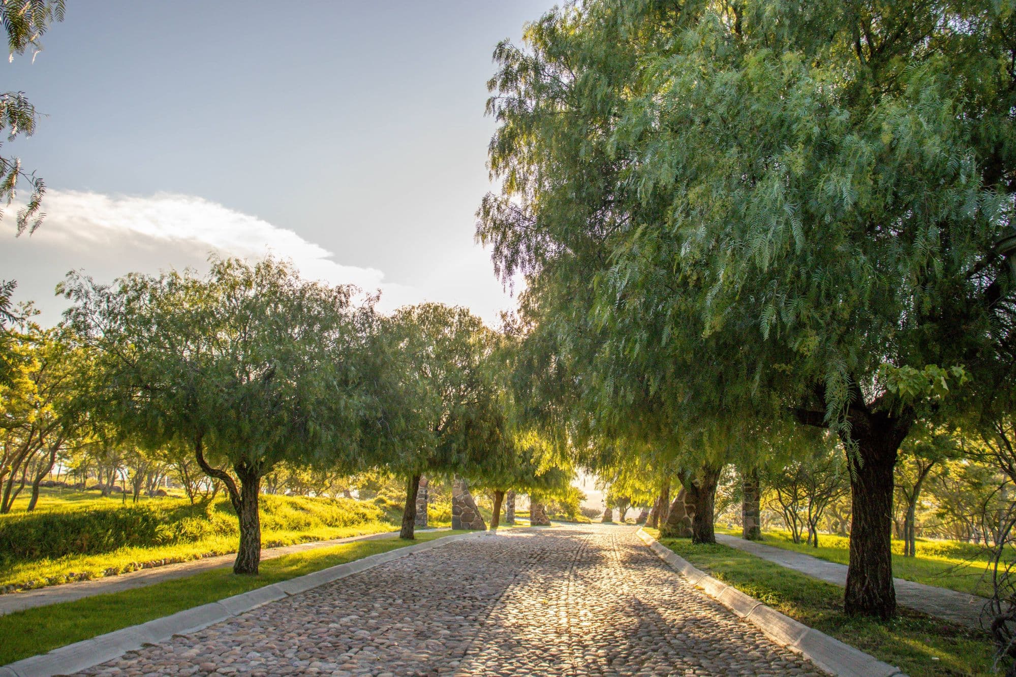 AltaVista Lot 1 – 962 m² | Boutique Eco-Community Near Centro