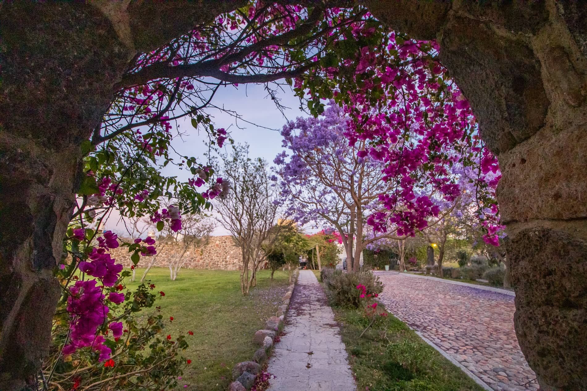 AltaVista Lot 1 – 962 m² | Boutique Eco-Community Near Centro — photo 8 of 10
