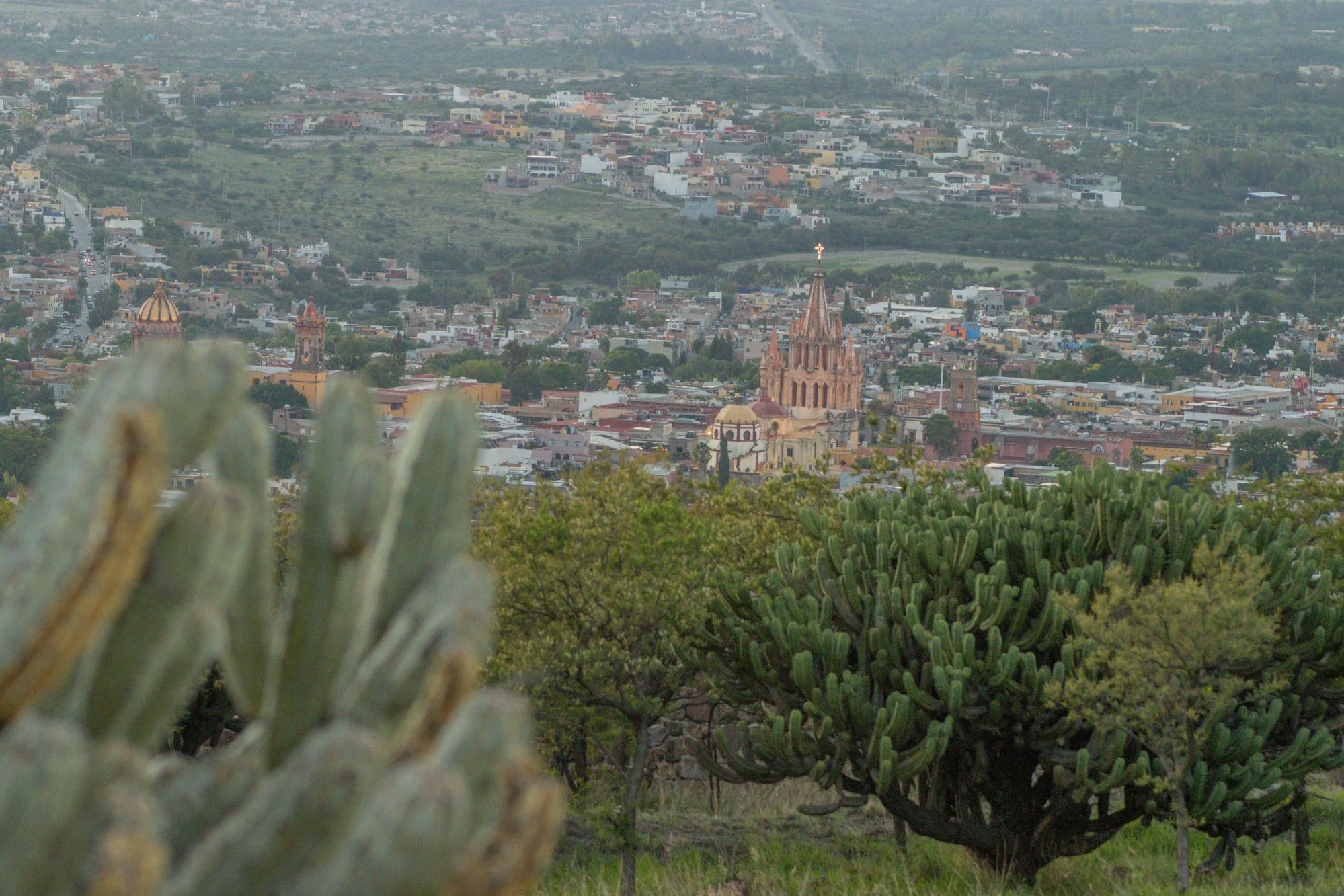AltaVista Lot 1 – 962 m² | Boutique Eco-Community Near Centro — photo 4 of 6