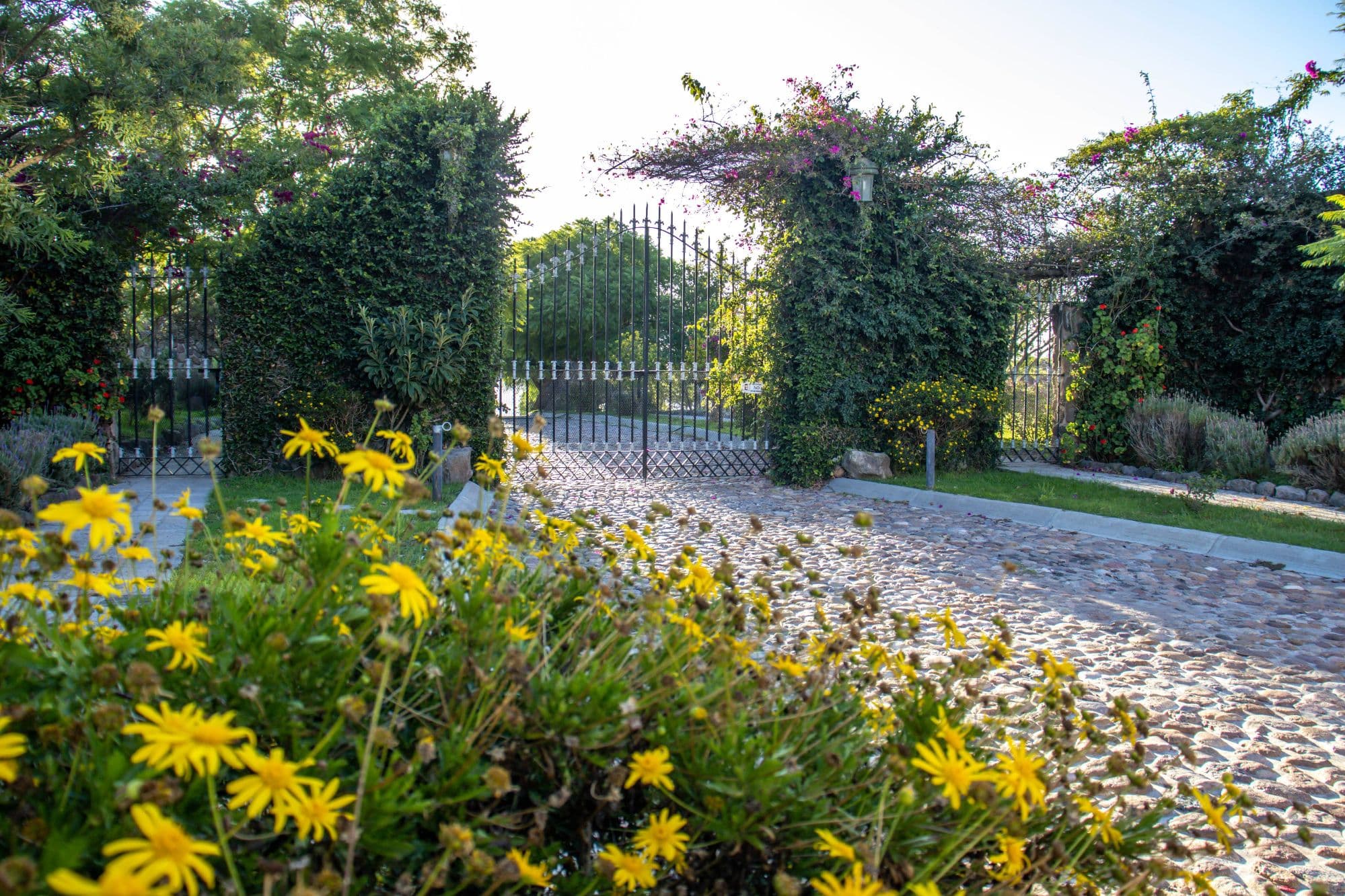 AltaVista Lot 1 – 962 m² | Boutique Eco-Community Near Centro — photo 6 of 6