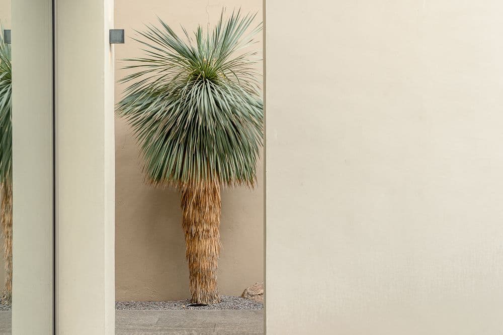 Casa Granada — photo 6 of 10