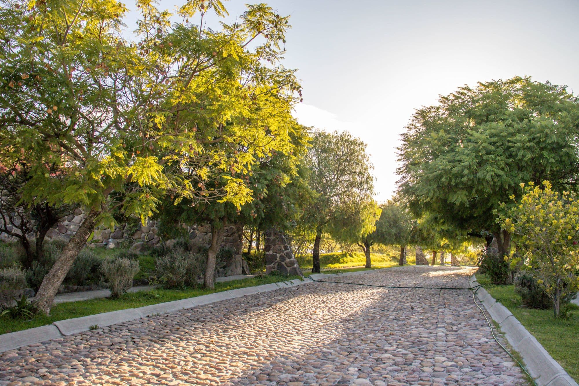 AltaVista Lot 17 – 969 m² | Boutique Gated Community Near Centro — photo 6 of 10