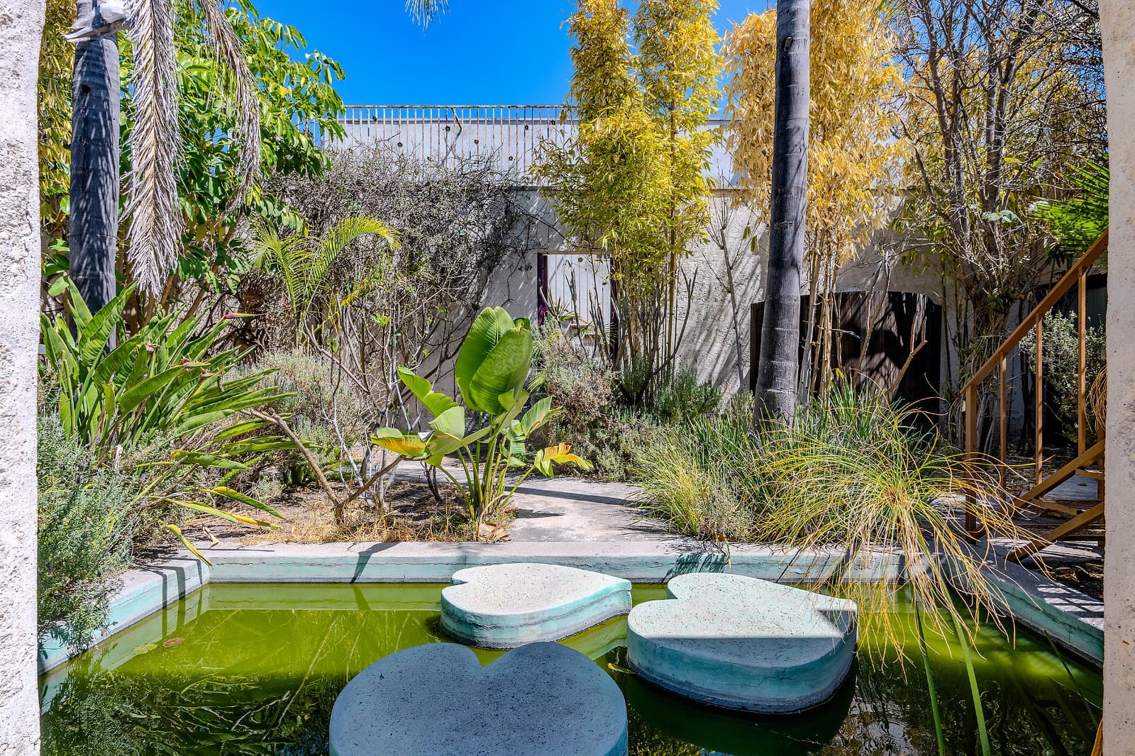 Shanti San Miguel — photo 4 of 10